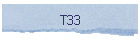T33